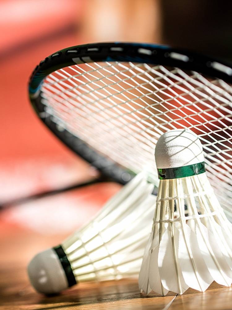 Germany and Japan's import technology, Liengene F2201, Elastic Physical Exercise Badminton 6 Installation