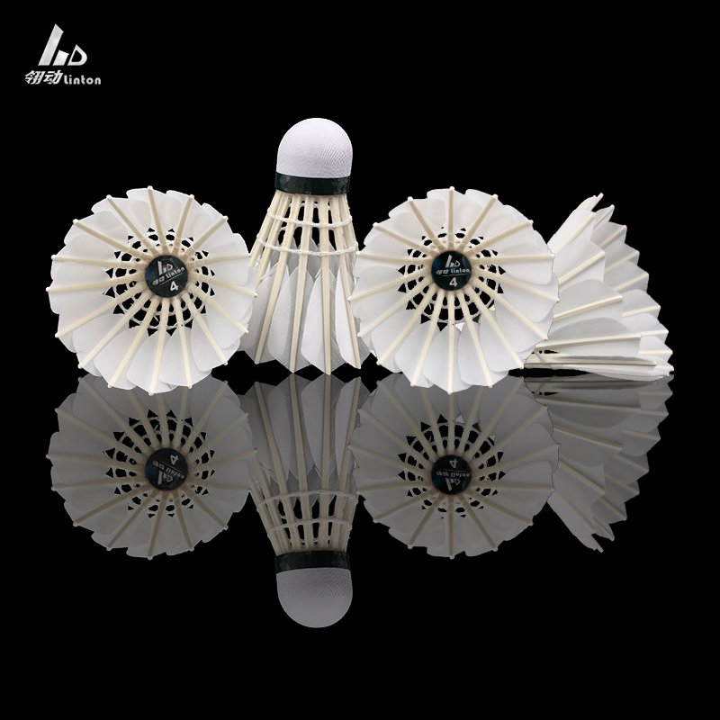 China quality products LT-4 goose shuttlecock badminton box for indoor and outdoor activities