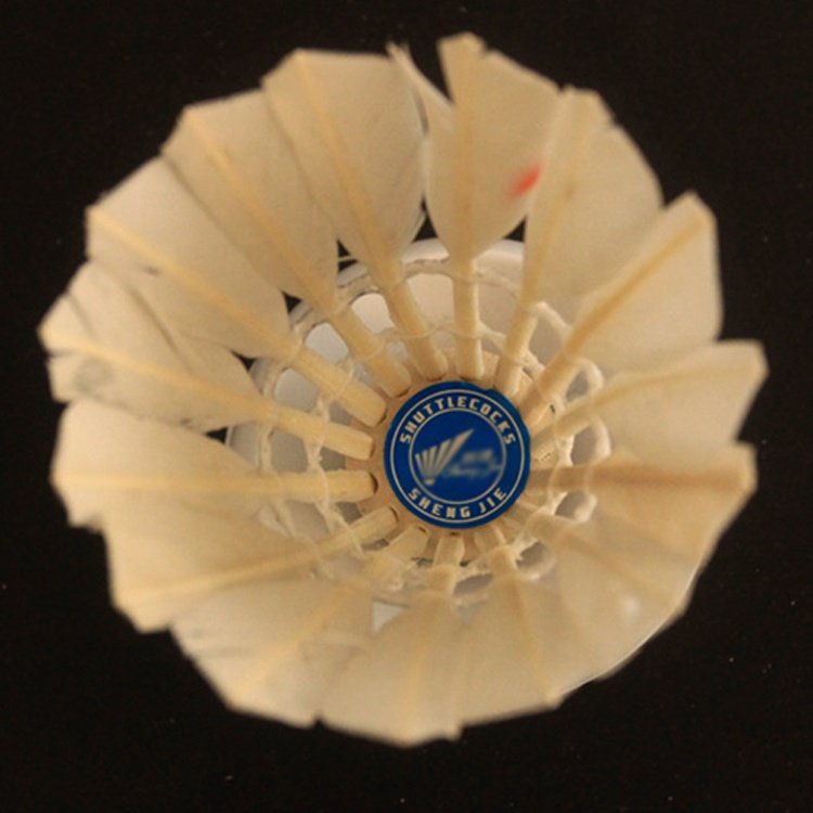 Wholesale OEM Competition Feather Duck Shuttlecock Badminton In China
