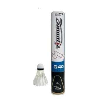 Dmantis Brand G40 Professional Badminton Shuttlecock Goose Feather Stable and Durable