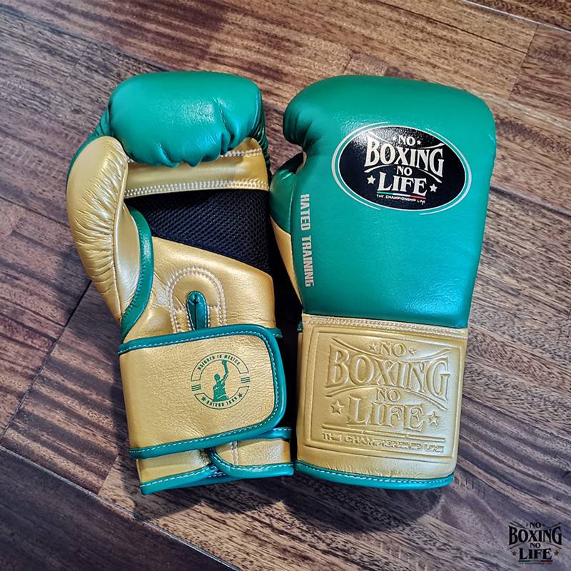 Avarets NoBoxing NoLife Thai boxing gloves professional training for adult men and women