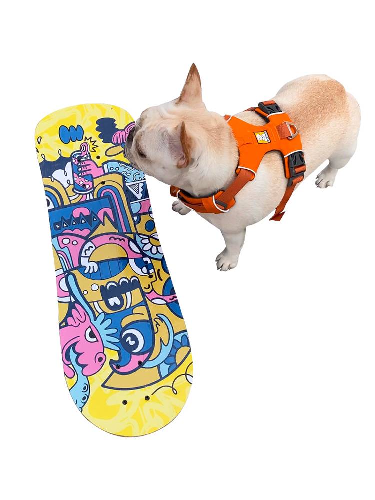 TT Skateboard Pet Skating Dog Dog Dog Dog Professional Land Platform French beef slopplate Snow Curchi Dog
