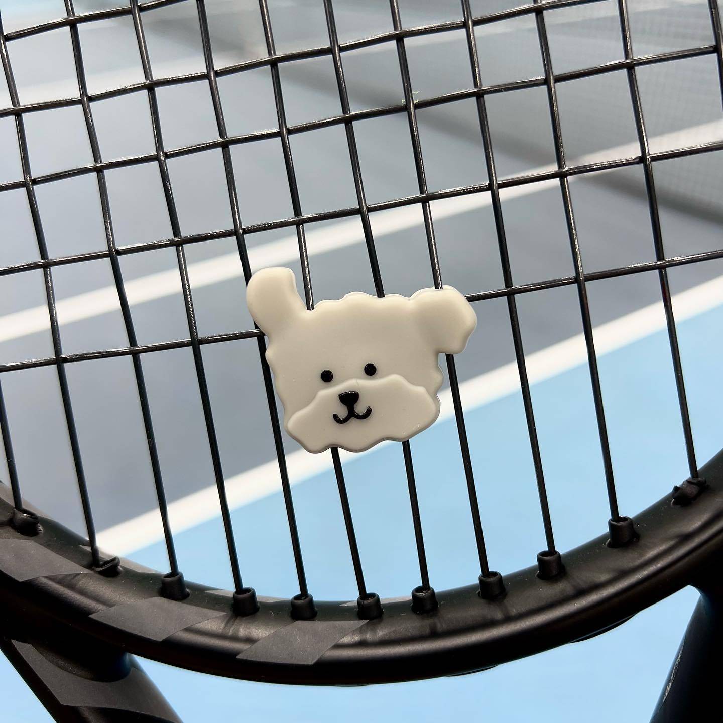 Korea's new tennis stun-shield