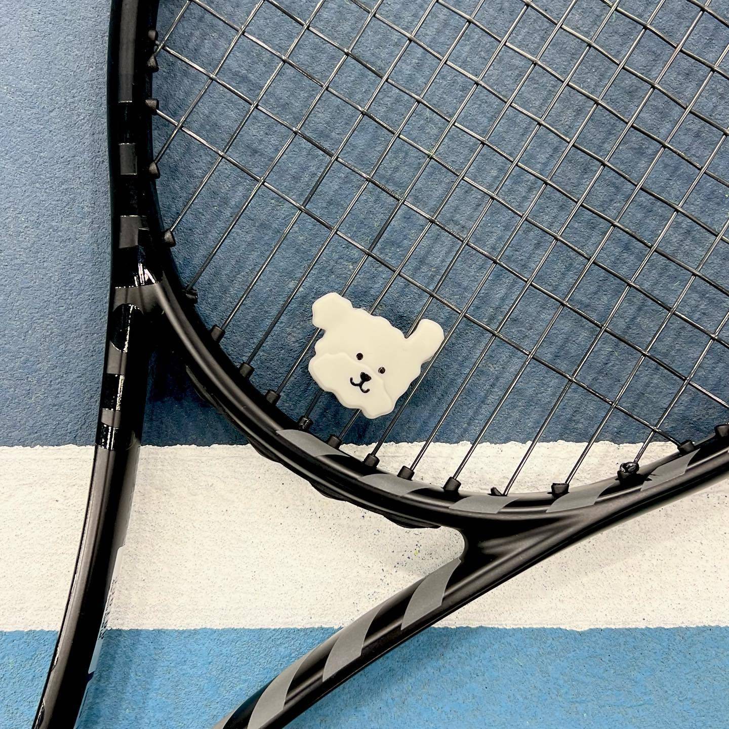 Korea's new tennis stun-shield