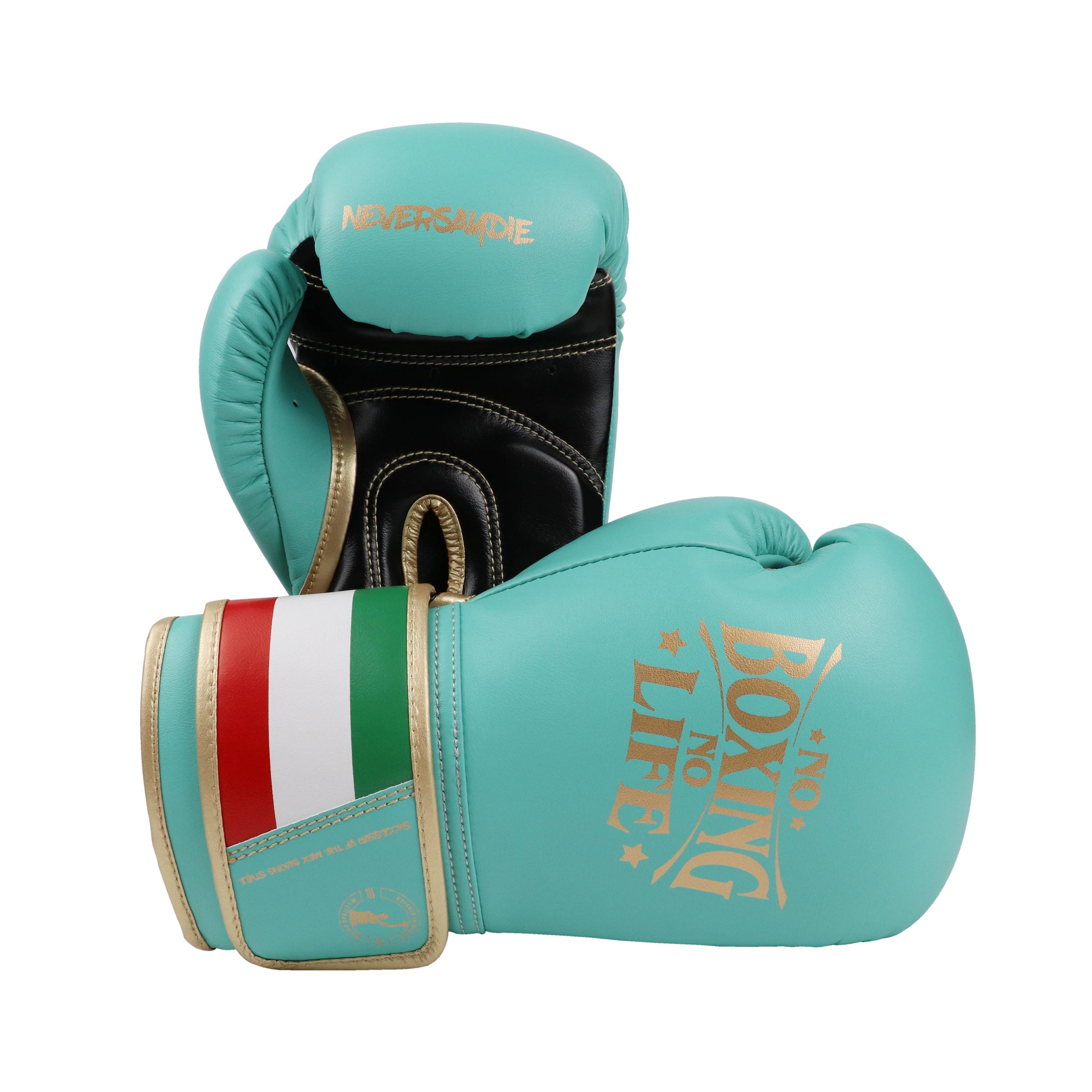 Avarets NoBoxing NoLife boxing boxing boxing for adult pony male and female professional boxing gloves