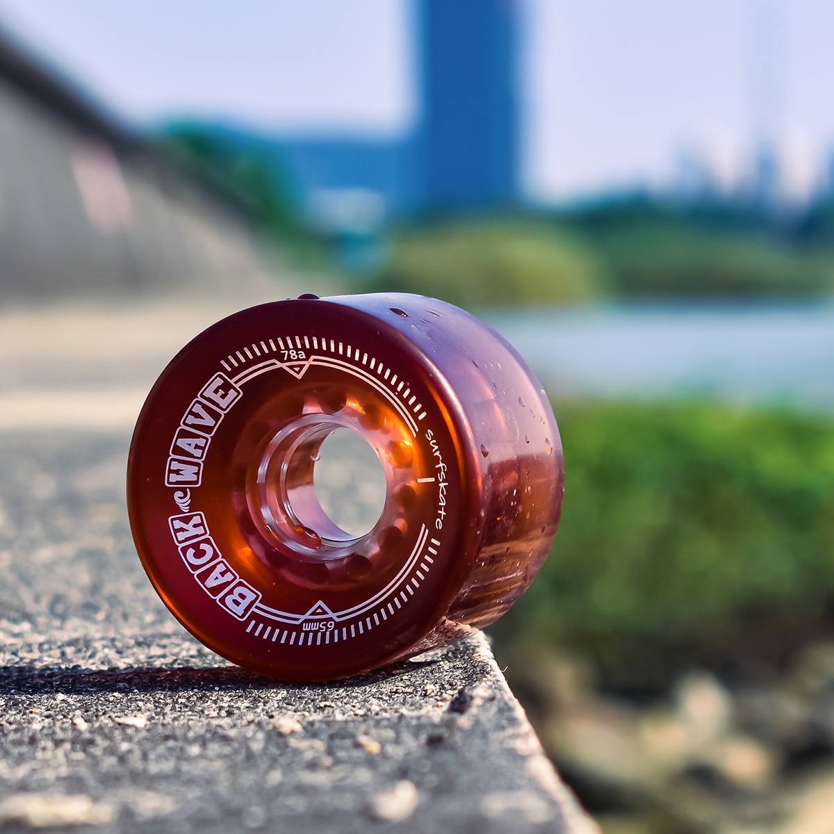 BACKWAVE Land Surfing Board | Skateboarding accessories High -quality design beautiful and reasonable price