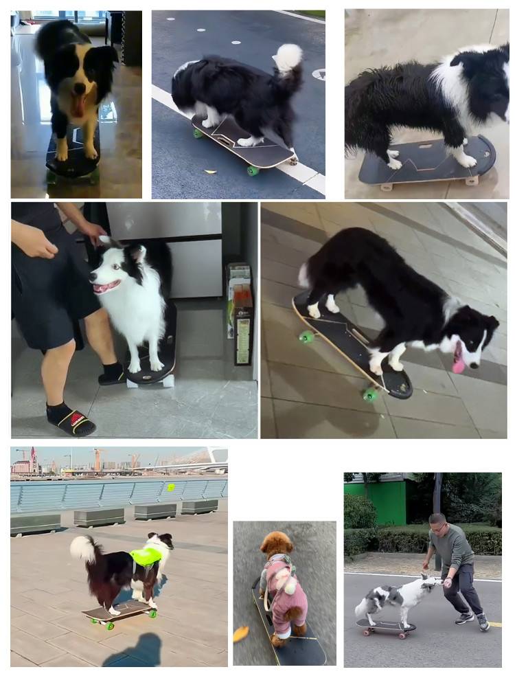Nathan Dao Bamboo and Wood Pet Dog Skateboard Skateboard Skaterine Skate Plate Wrangler Skateri Plate Adult Children General