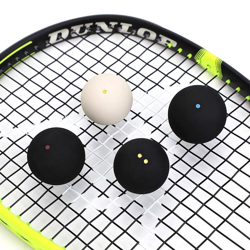 Dunlop Deng Lu Pu Wall Ball Single Blue Dot Double Yellow Smart Training Primary School Introduction Intermediate Professional Players Applicable