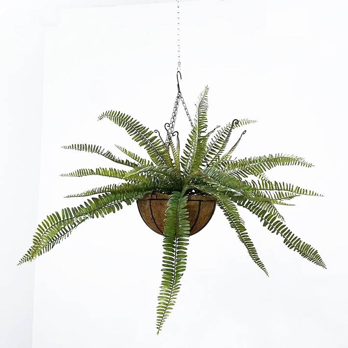 Big fern leaf hanging basket (90cm wide)