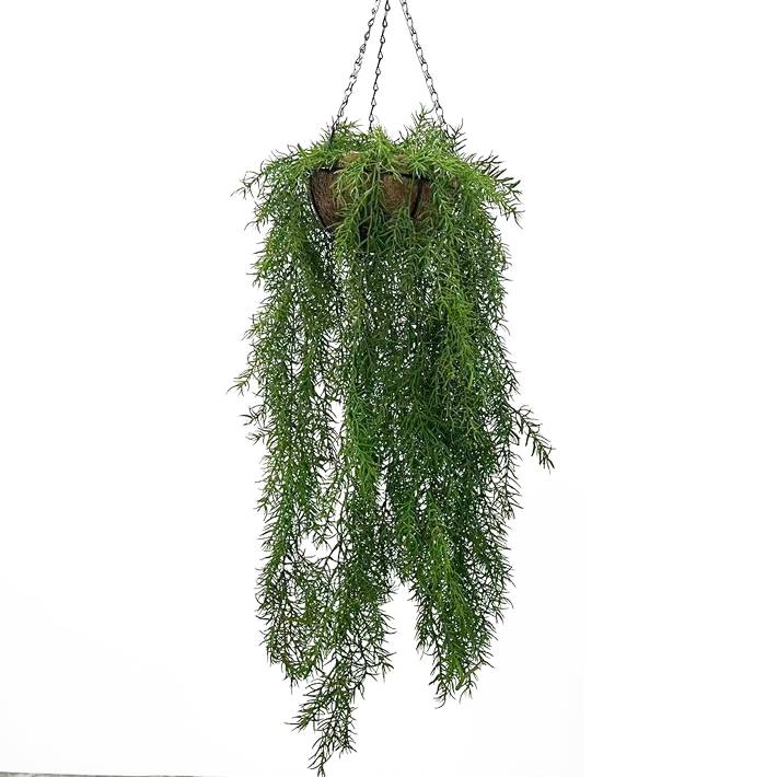 A weed basket (90cm wide)
