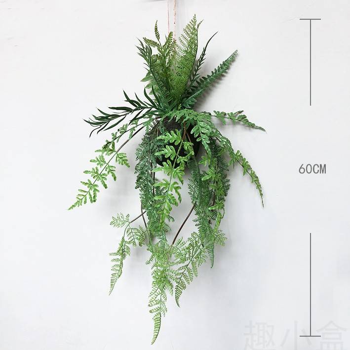 Ratto plant C