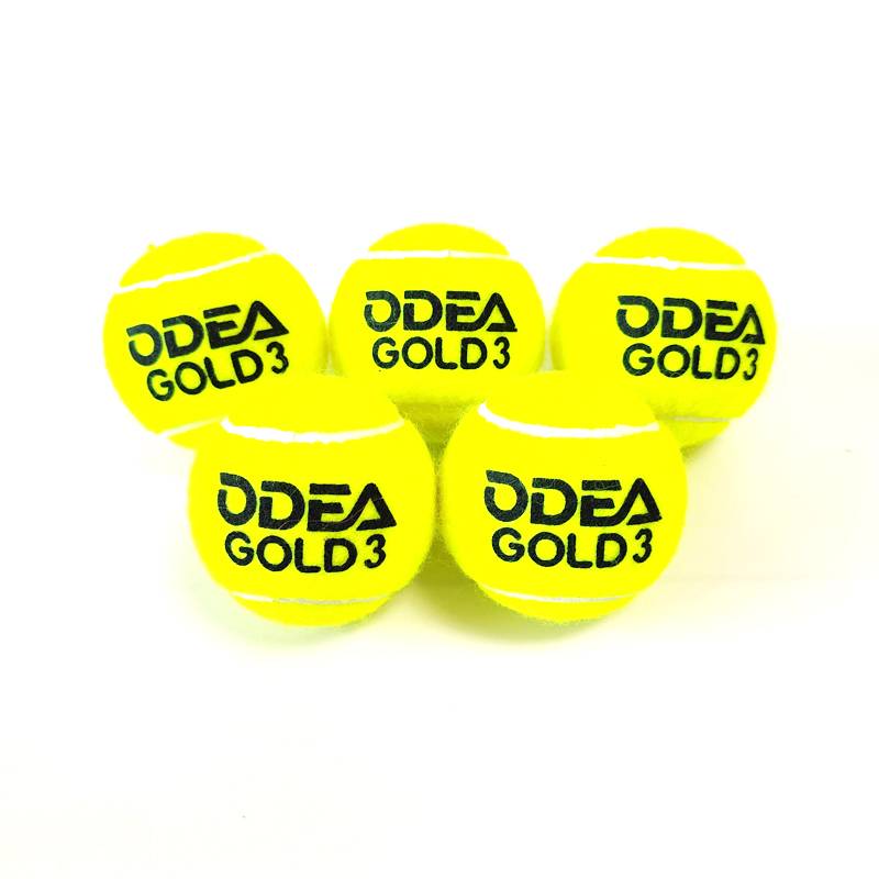 Kanglong Kannon cans tennis HEAD tennis Odea Odea Canned Schleinger 3 4 pieces