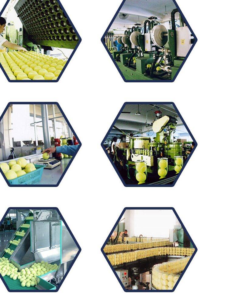 TELOON Tianlong Tennis Training Delivery Primary School Advanced Professional Competition Tennis Practice Bulk Bulk