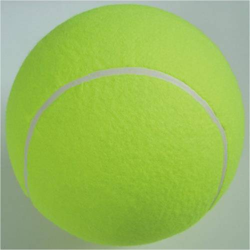 Signature of large tennis 9.5 -inch Chinese tennis open gift collection inflatable tennis diameter 24cm