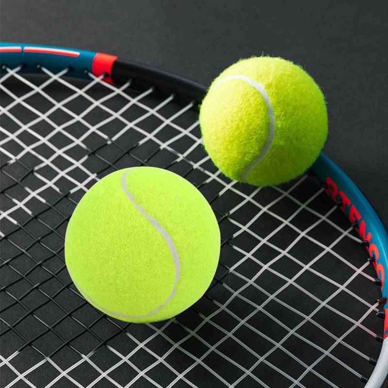 Tennis high elasticity training model primary and secondary school children in junior high -level wear -resistant competition for junior and middle -level wear -resistant pet balls