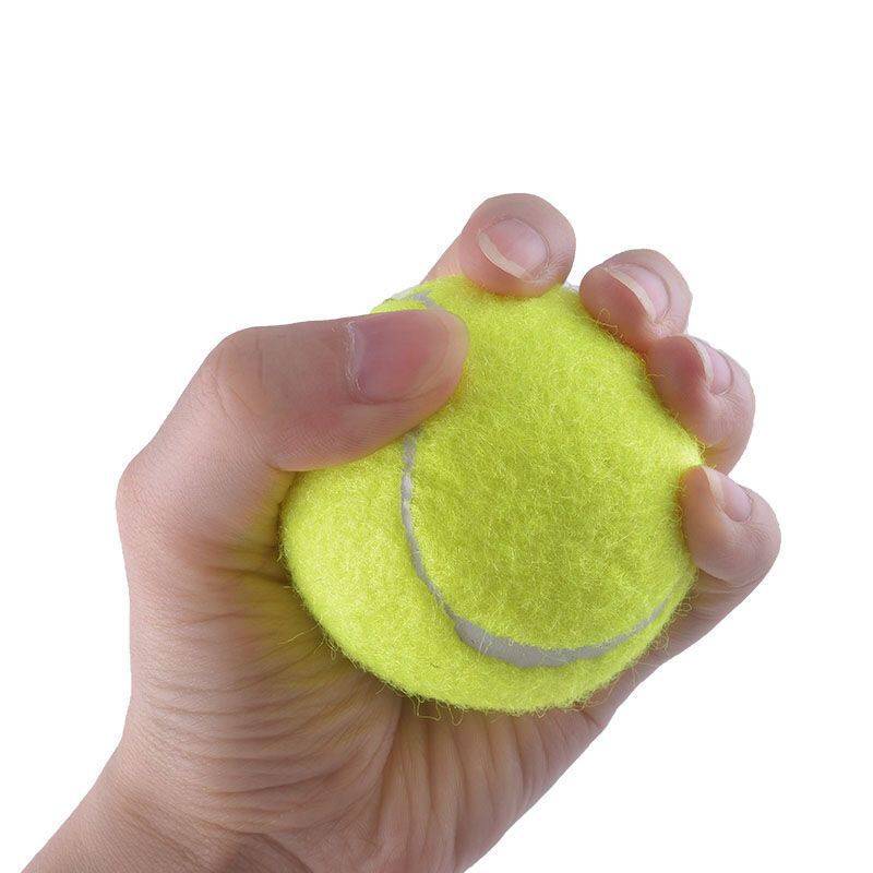 Tennis resistance training model wear -resistant junior high -level fascia massage pet ball -collection outdoor dog toys