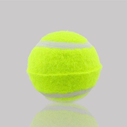 3 pet tennis (weak)