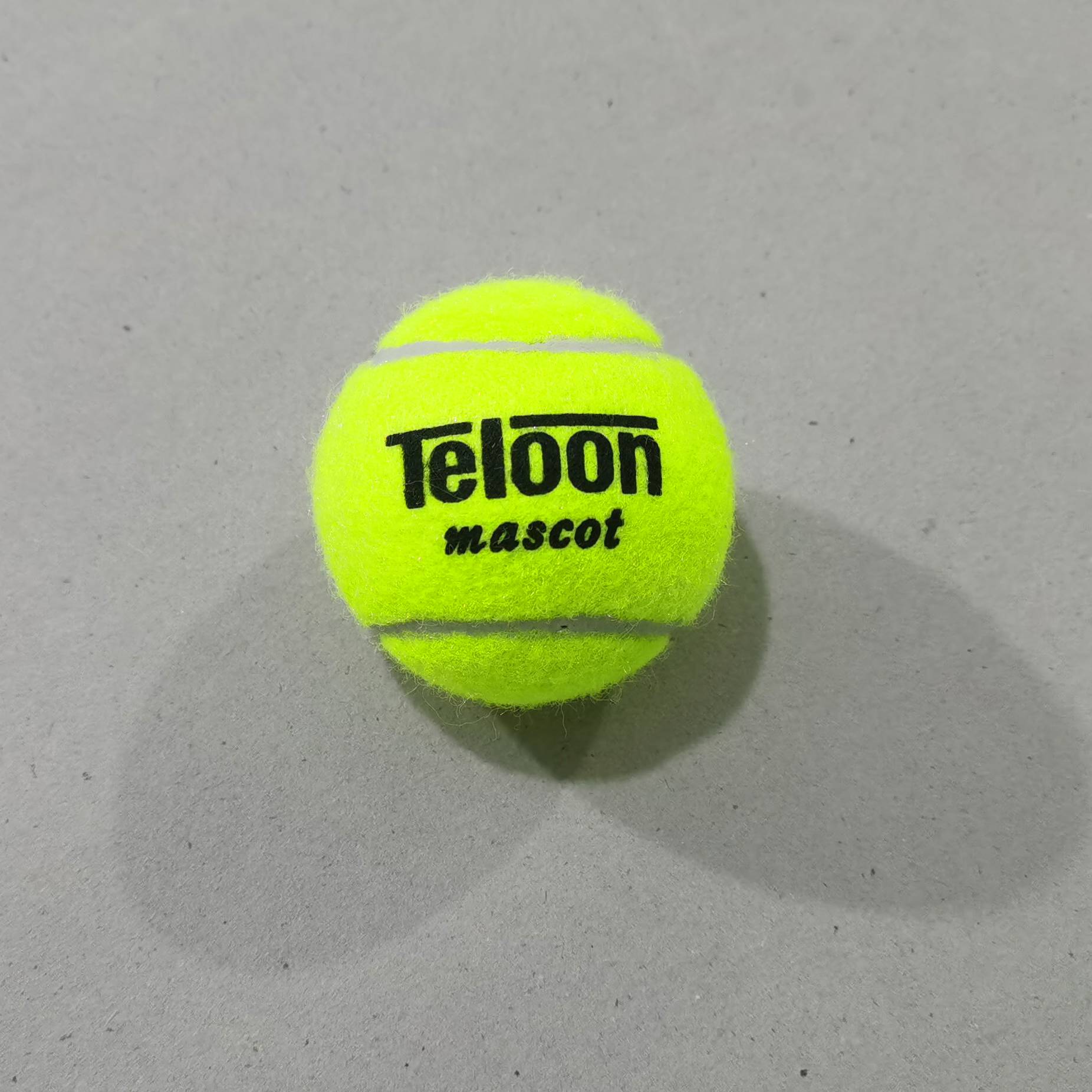 Tianlong 801 Mascot Primary Training adult tennis training entire bags of bulk and training ball