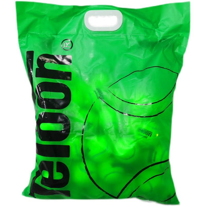 Tianlong 801 Mascot Primary Training adult tennis training entire bags of bulk and training ball