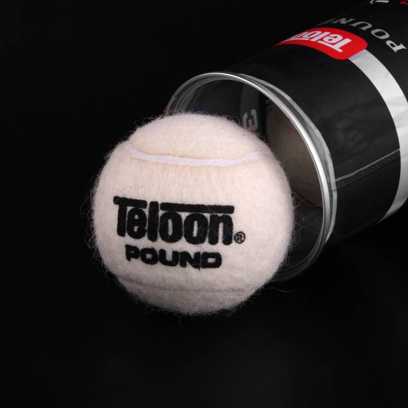 [Buy 5 get 1 get 1] Tianlong White Tennis Pound-3 Wimbledon custom 3 cans and seal the game training ball