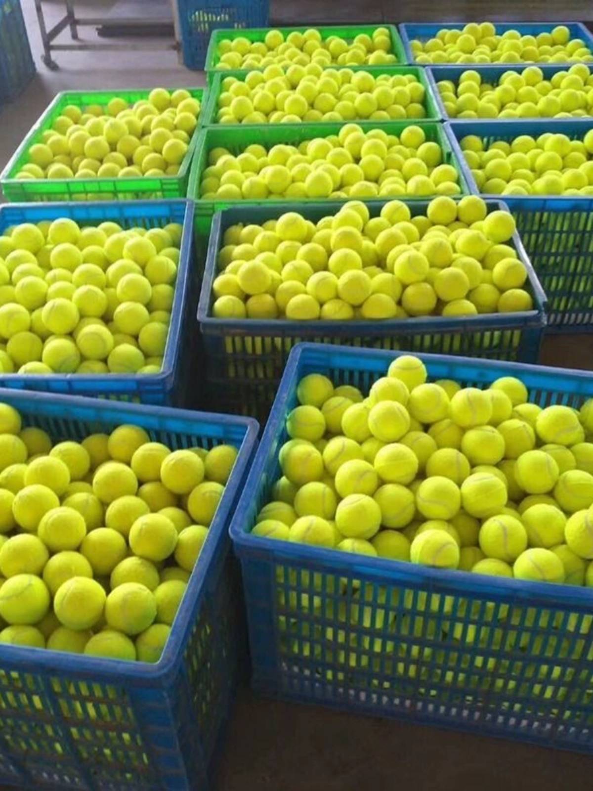 Tennis high elastic beginner resistance, abrasion resistance training tennis junior high -level fascia massage pet ball