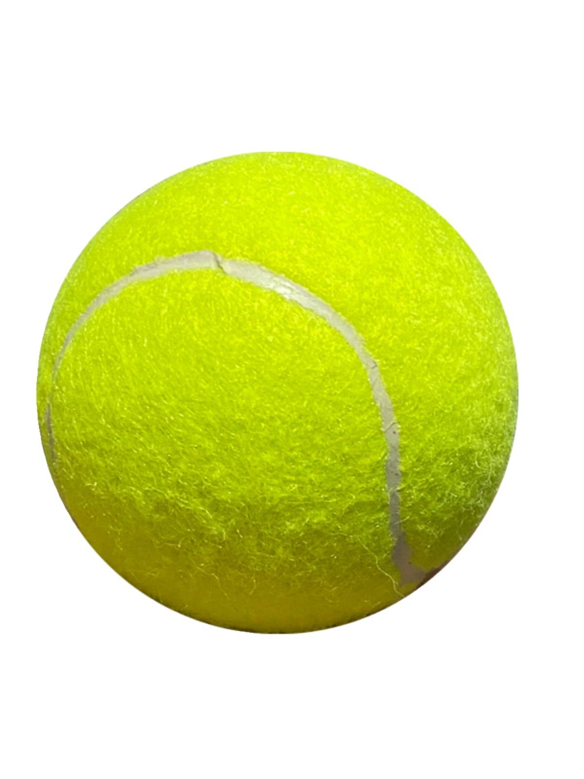 Tennis high elastic beginner resistance, abrasion resistance training tennis junior high -level fascia massage pet ball