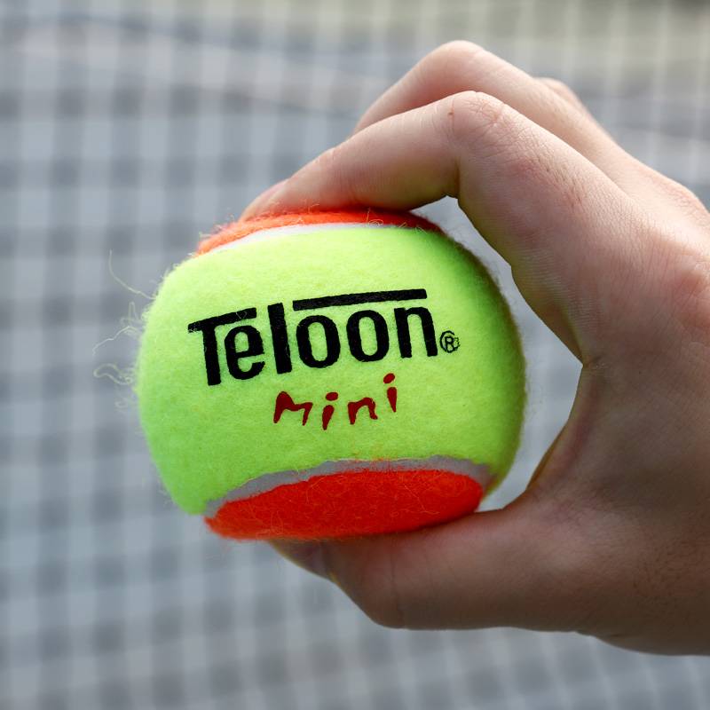 TELOON Tianlong Children's Tennis Transition Ball Short Tennis Soft Girls Beginning Practice Packing Training Ball