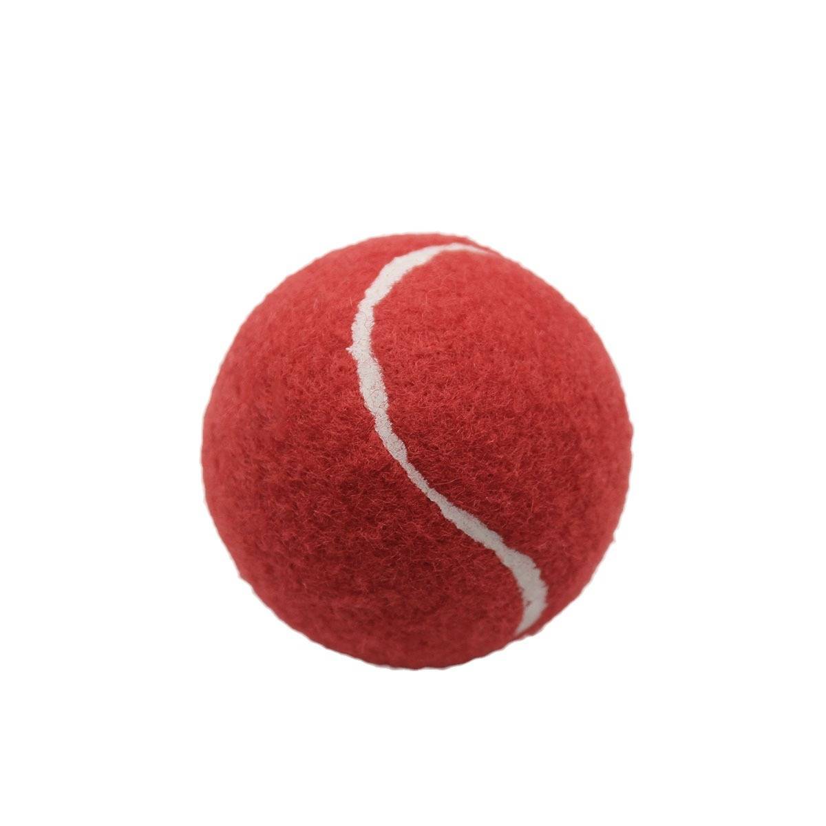 Tennis manufacturer's junior sports training red practice ball bulk back rebound wear -resistant fiber -resistant beginner