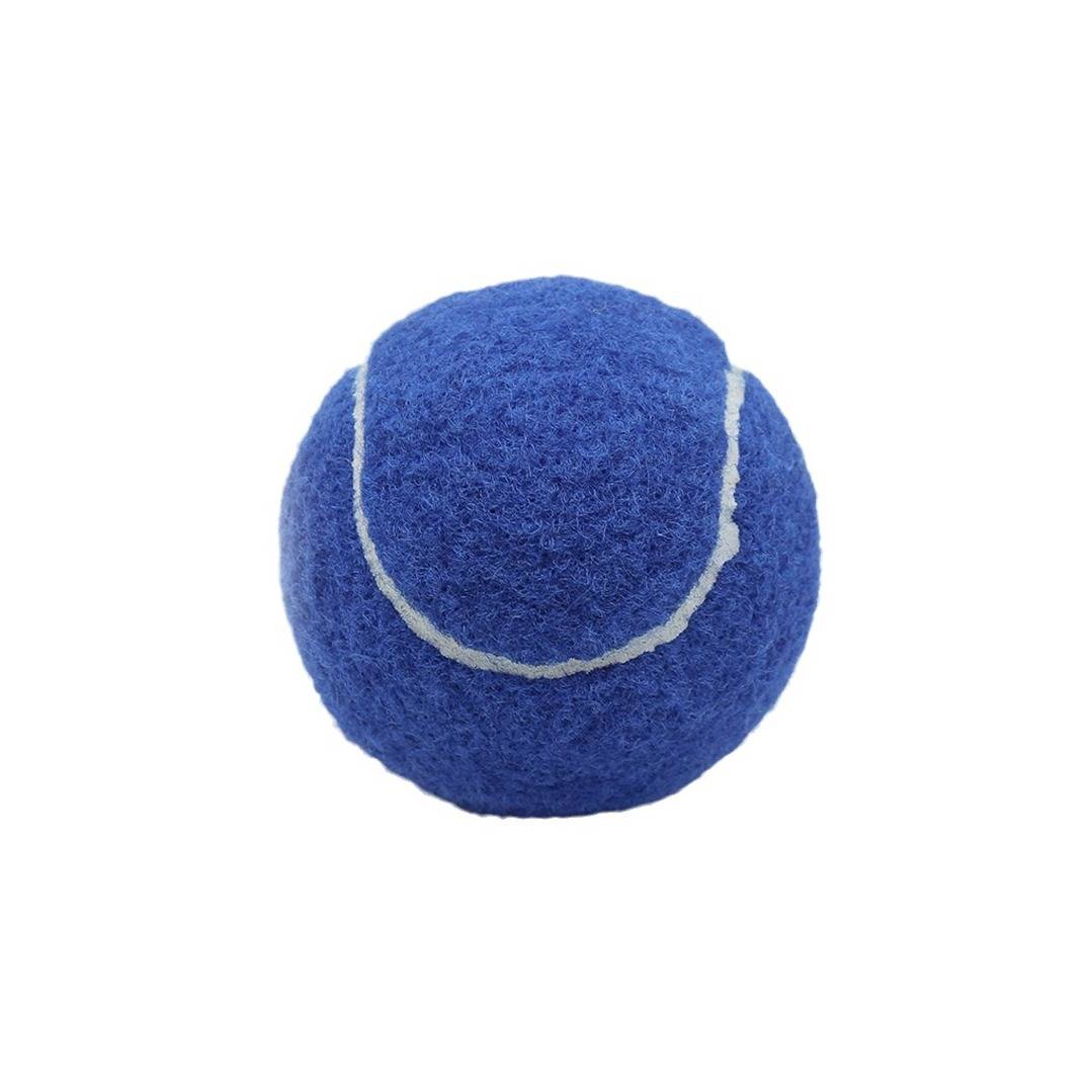 Tennis manufacturer's junior sports training blue practice ball -resistant fiber rebound tennis player