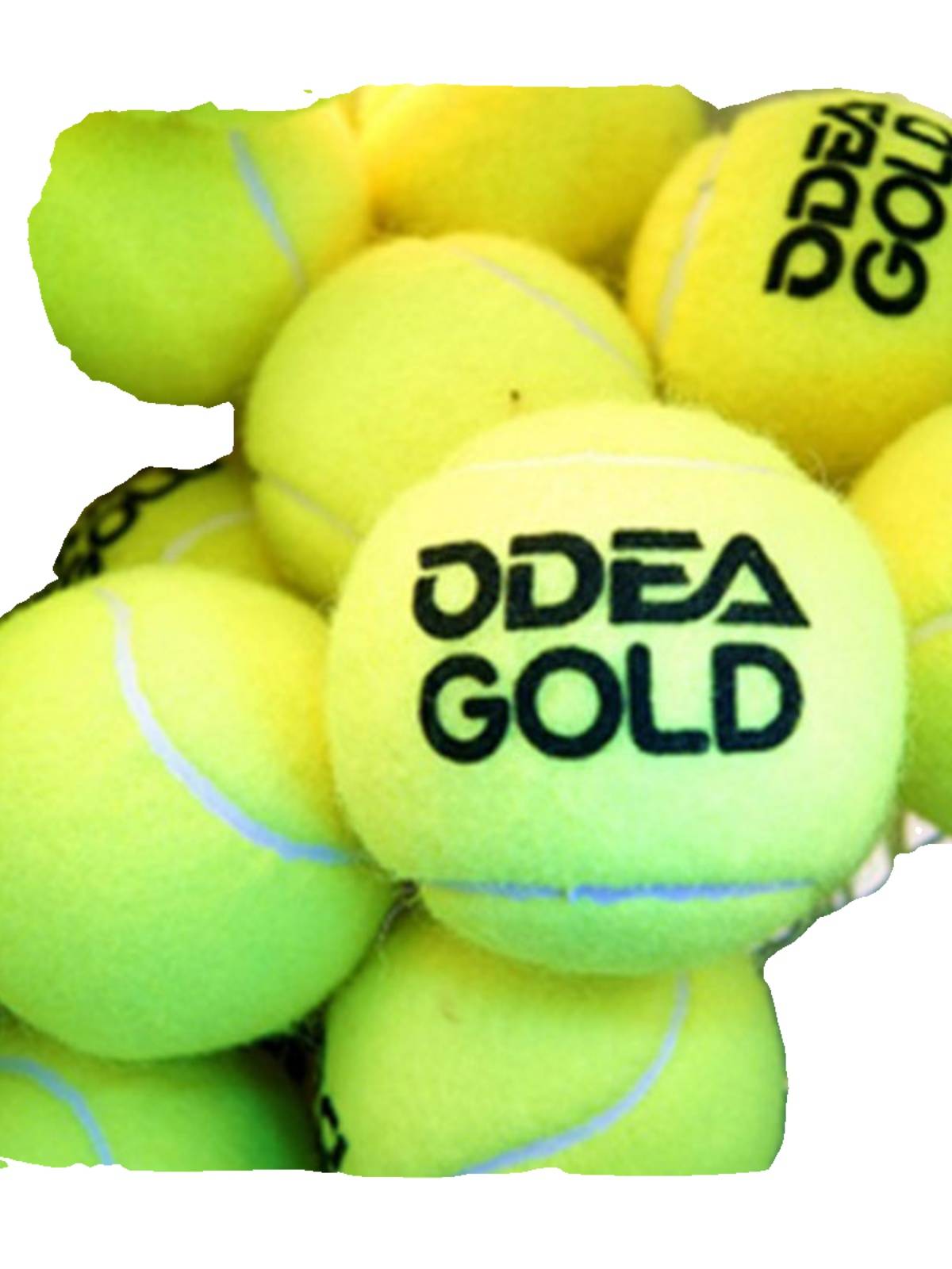 ODER/Odier Training Tennis Silver Professional Senior GOLD adult bag 60 convergence constant voltage