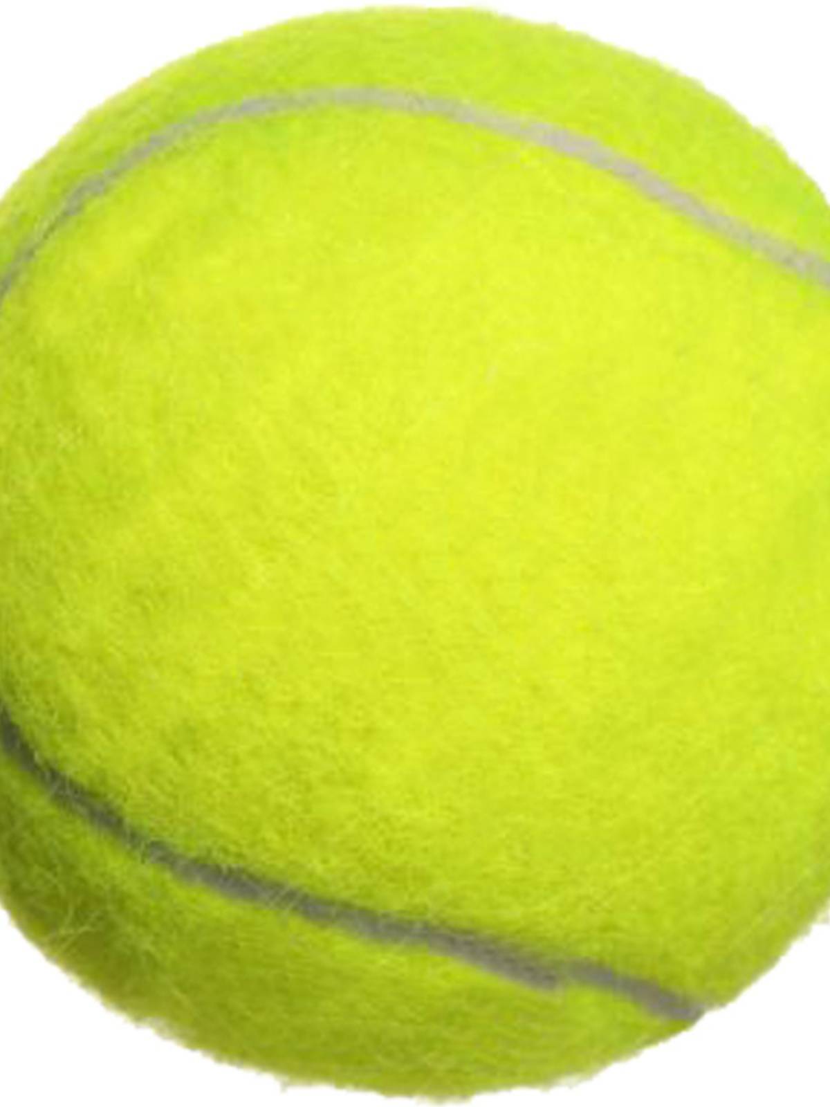 Tennis High Bullet Pattermal Scholars Training Tennis wear -resistant junior high -level mass massage pet ball 77