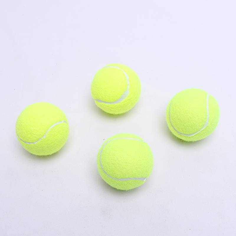 1 adult training ball (normal air pressure)