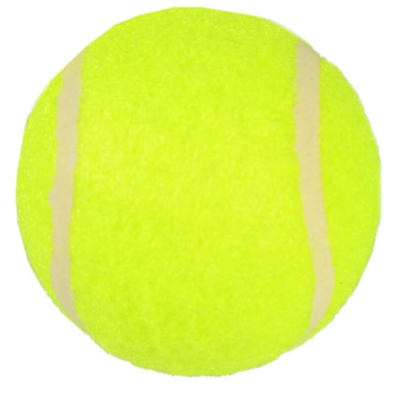 Tennis genuine high -elastic professional training rebound without pressure tennis fight resistance game ball