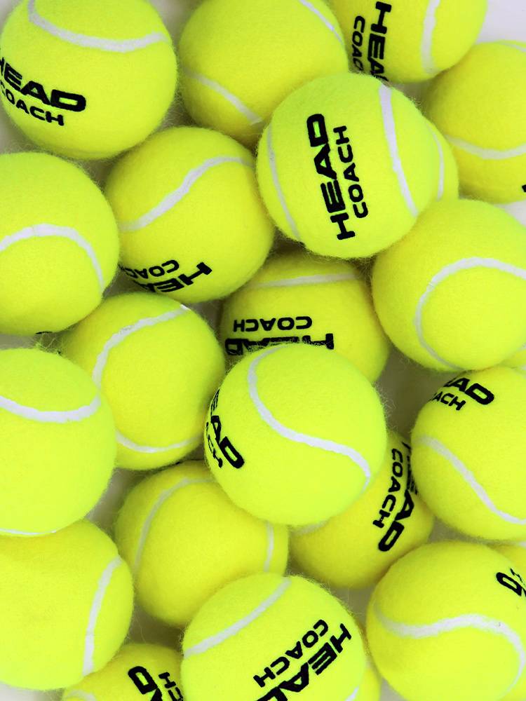 HEAD/Hyde abrasion -resistant beginner without pressure training tennis professional training tennis amateur competition practice ball