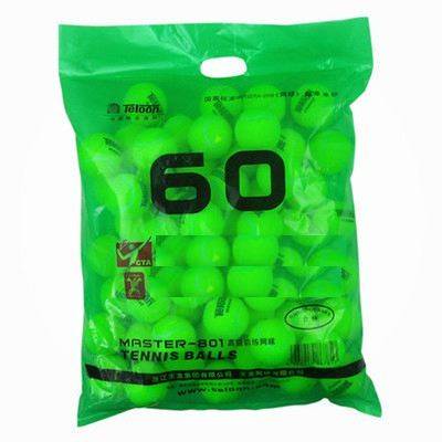 Tyrannosaurus 801-60 (60 in bags)