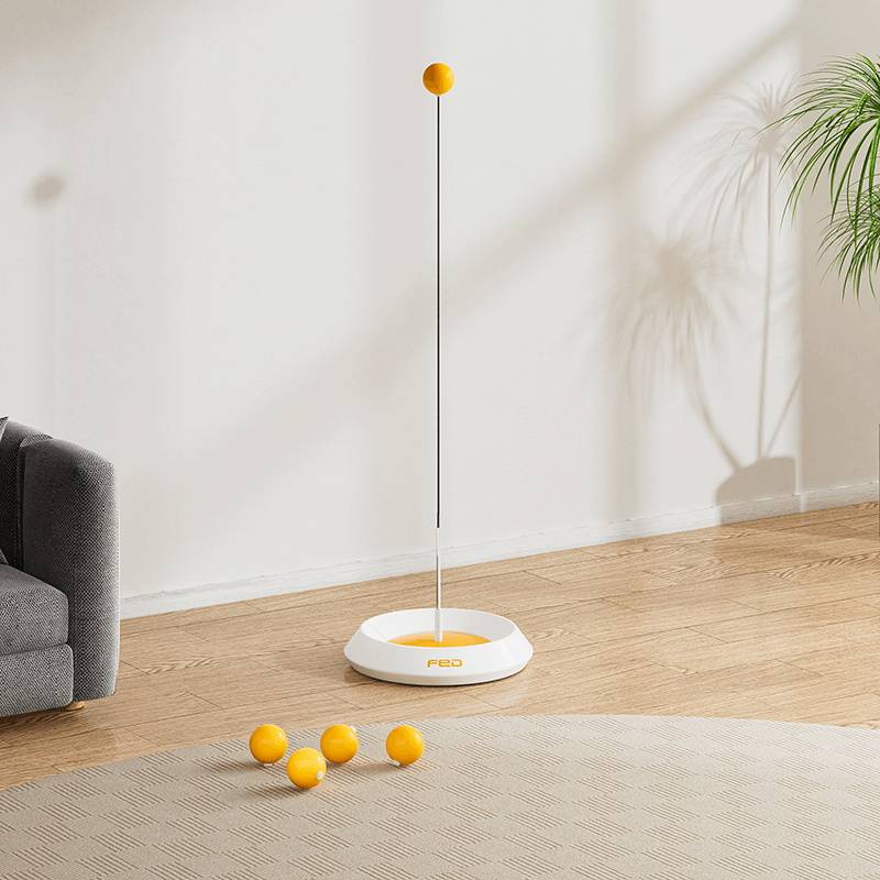 White Orange Trainer base-no shot