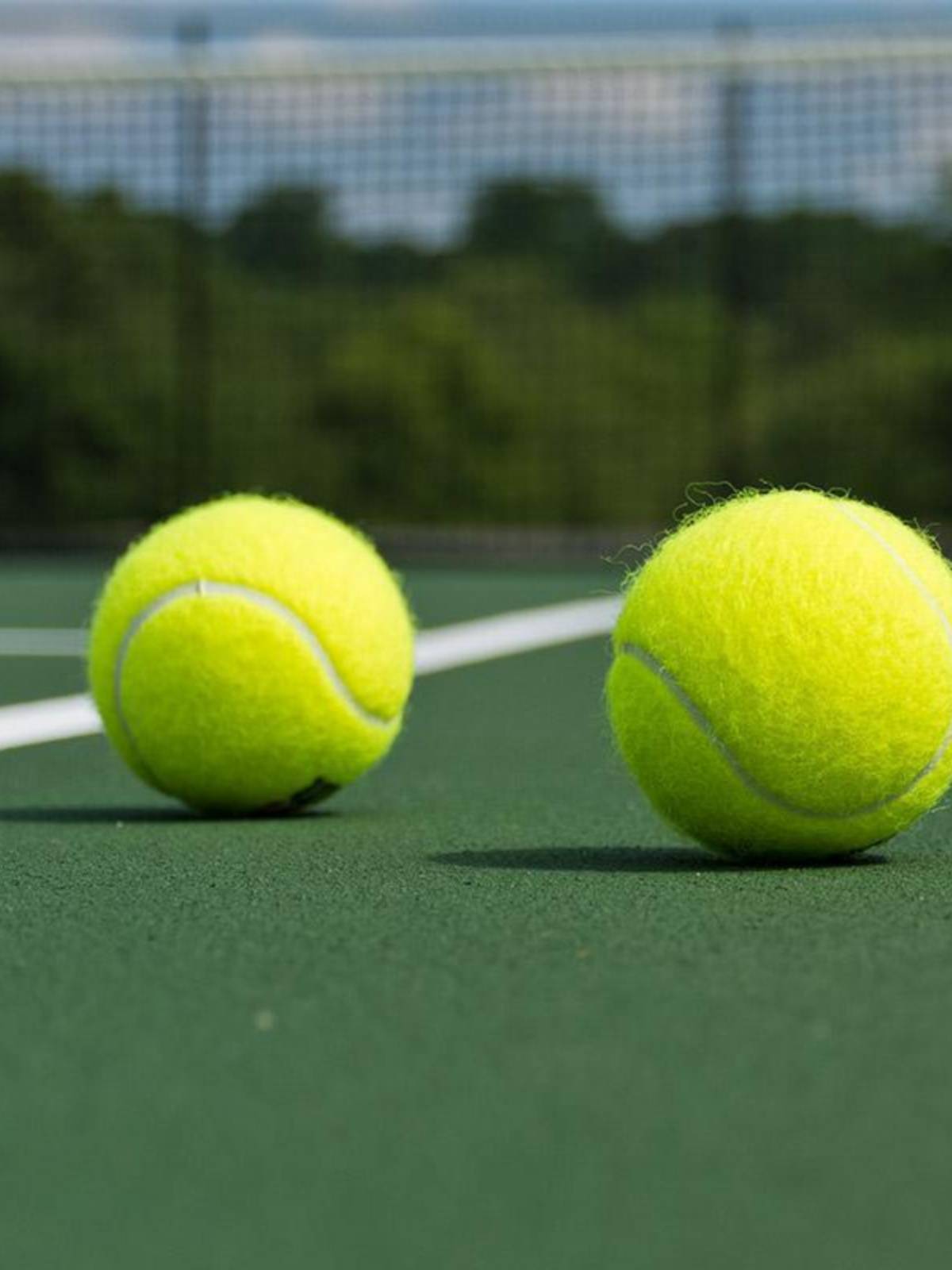 Practicing tennis light, simple price, low -quality beauty middle school student training competition for material balloon rubber plus hair