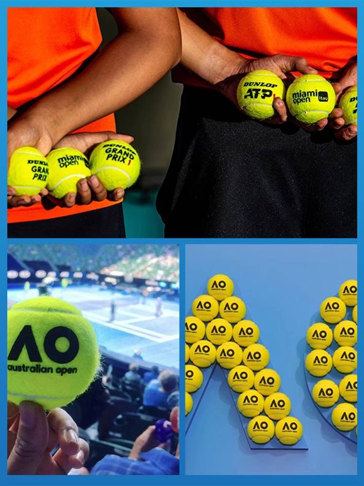 Dunlop Dunlop tennis red land training tennis game ball master race official tennis full box new product