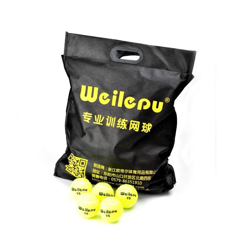 60 BAGS FOR V6