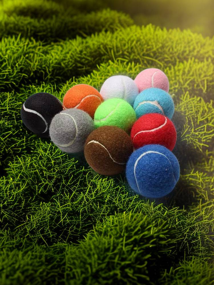 60 cm bounce red tennis color tennis pet tennis laundry massage Teddy Corgi tennis 