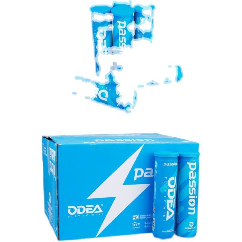 Genuine physical store 2022 new ball ODEAR PASSION four -piece game class tennis 2 barrels of