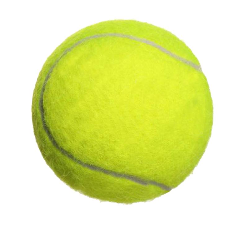 Single tennis band line back to high elasticity, tutoring training tennis base wear -resistant primary competition special pet ball