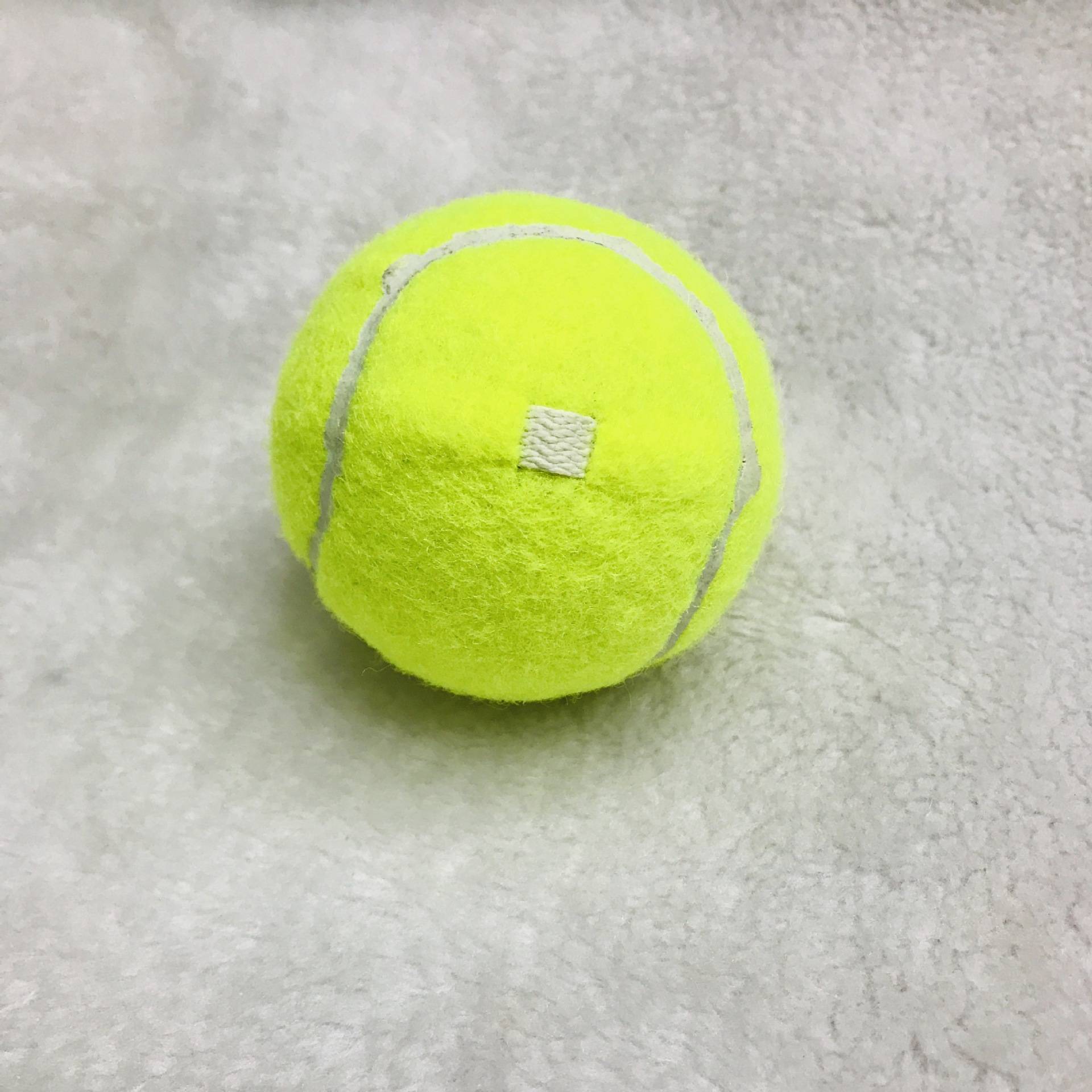 Tennis genuine training device with lines of beginners and students, children's single -person auxiliary exercises with rope back to practice