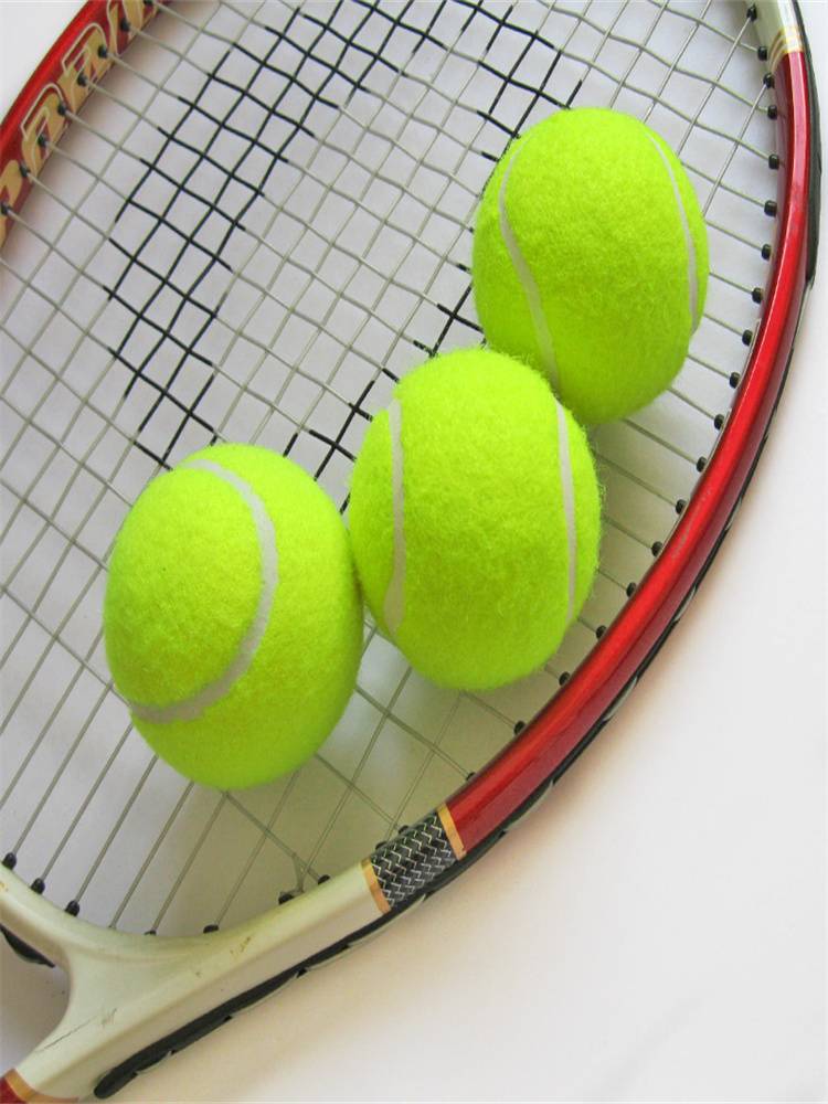 Tennis beginner high elasticity training tennis wear -resistant junior and middle -level competition for massage pet balls