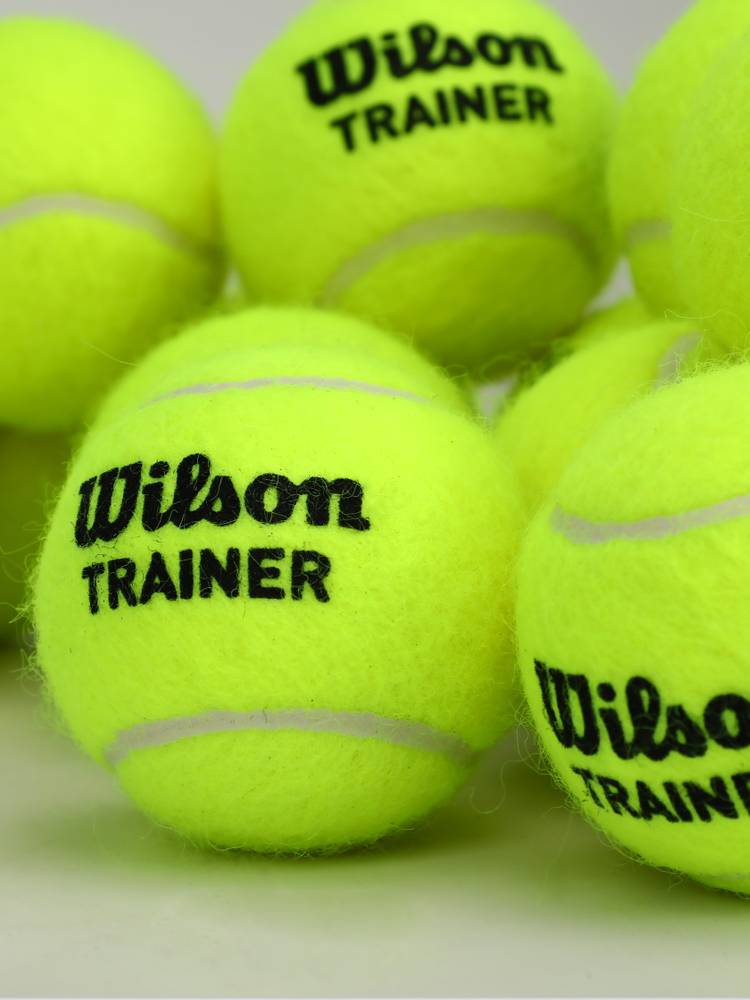 Wilson Wilsheng Single Single Primary School Training Tennis bulk combination Stable durable competition Special bag for tennis
