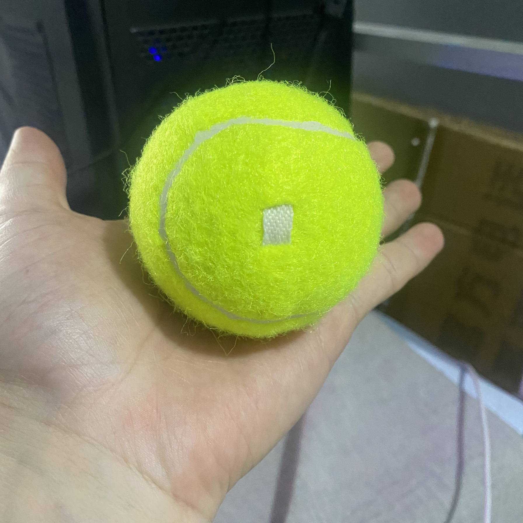 Two tennis balls with rope