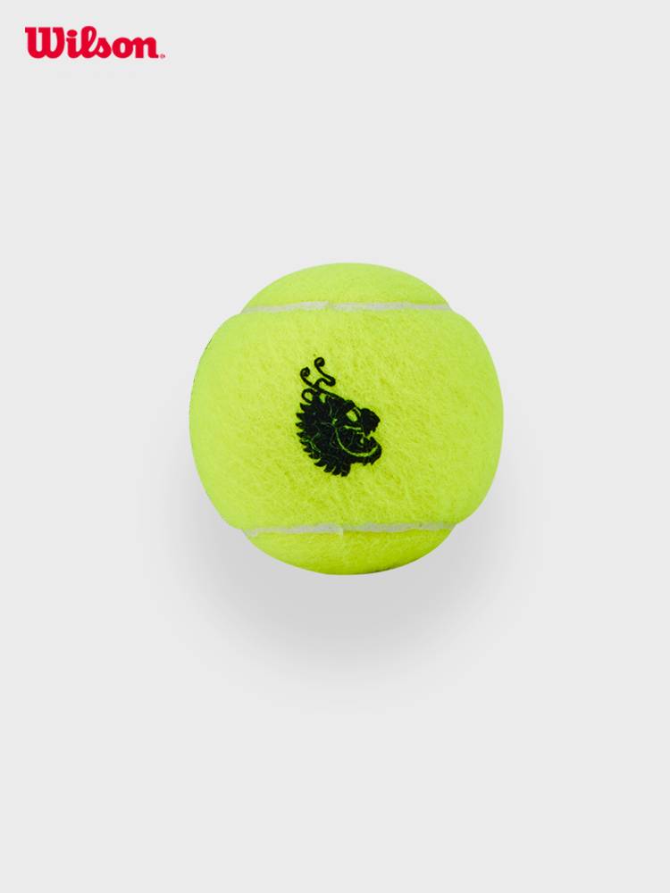 Wilson Wilsheng official 24 Dragon Year series commemorative limited accessories gift box race training tennis rebound