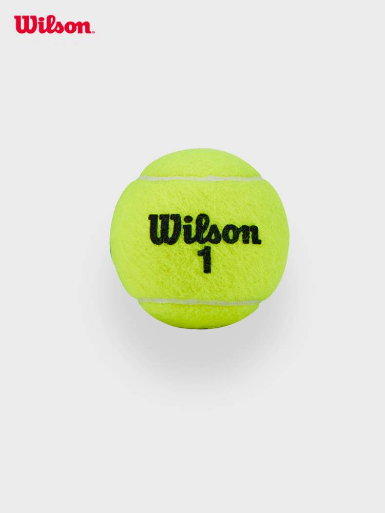 Wilson Wilsheng official 24 Dragon Year series commemorative limited accessories gift box race training tennis rebound