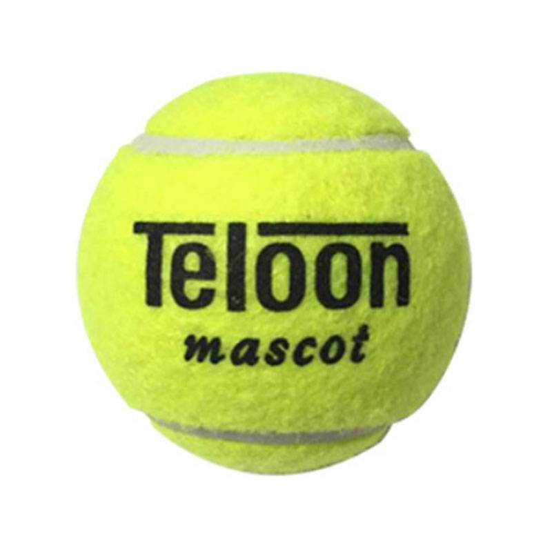 TELOON Tianlong Genuine Tennis 801 Training Church Primary School Student Games High Bullet wear -resistant tennis