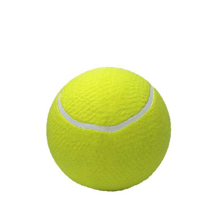 . 9.5 -inch Signature Ten Pet Pet Ball Pet Pet Pet Dog Flequerical Large Ten times Happy Network